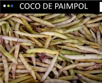 Le Coco paimpolais