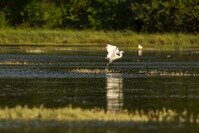 Balade sensorielle à Beauport