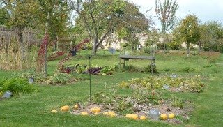 Jardin de l'Abbaye Maritime de Beauport - Paimpol