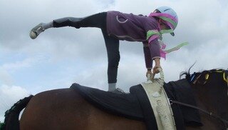 Les chevaux du Coat - Plourivo