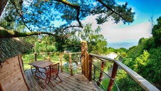 CABANE DANS LES ARBRES (Camping Cap de Bréhat) - Plouézec